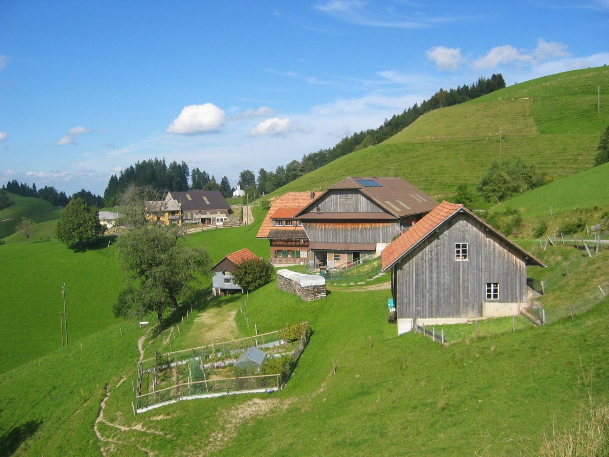 Apartment Ober-Tiefenbuehl Hergiswil Esterno foto